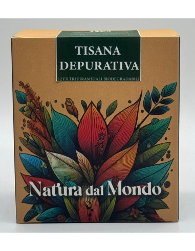 Filtri Piramidali seta TISANA DEPURATIVA 2,5 gr - 12 pz