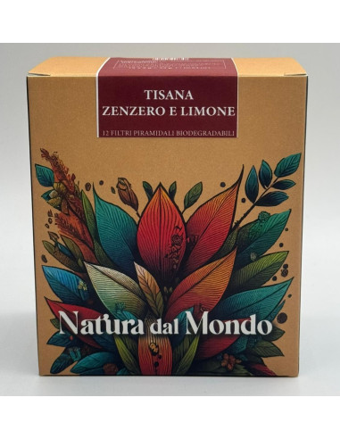 Filtri Piramidali seta TISANA ZENZERO E LIMONE 2,5 gr - 12 pz