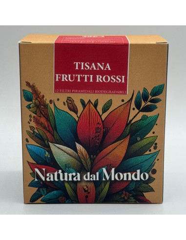 Filtri Piramidali seta INFUSO FRUTTI ROSSI 2,5 gr - 12 pz