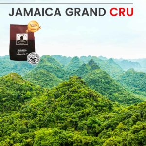alta-qualità-capsule-nespresso-jamaica-grand-cru